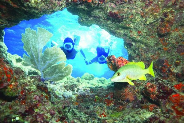coral-reef-snorkeling-key-west