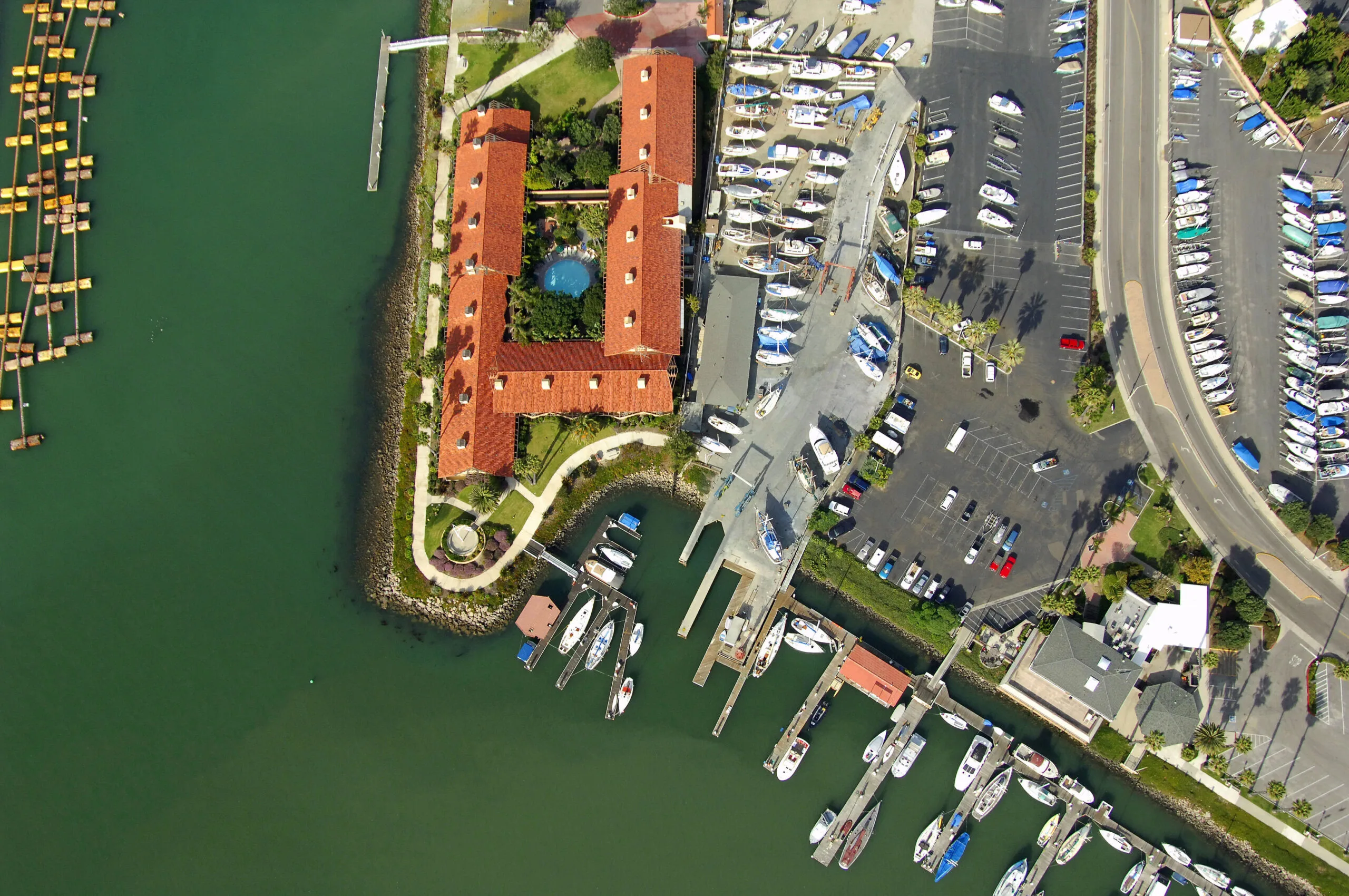 Kinship Marina Ventura
